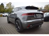 Jaguar E-Pace bei Sportwagen.expert - Abbildung (4 / 6)