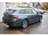 Skoda Octavia bei Sportwagen.expert - Abbildung (3 / 13)