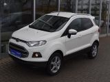 Ford EcoSport bei Sportwagen.expert - Abbildung (2 / 4)