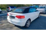 Audi A3 Cabriolet bei Sportwagen.expert - Abbildung (4 / 15)