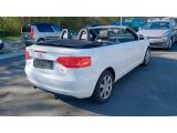 Audi A3 Cabriolet bei Sportwagen.expert - Abbildung (10 / 15)