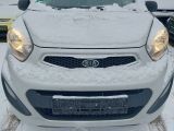 Kia Picanto bei Sportwagen.expert - Abbildung (12 / 15)