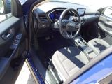 Ford Kuga bei Sportwagen.expert - Abbildung (7 / 15)