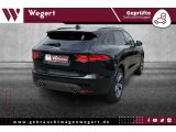Jaguar F-Pace bei Sportwagen.expert - Abbildung (9 / 15)