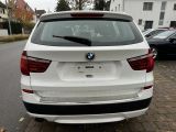 BMW X3 bei Sportwagen.expert - Abbildung (6 / 15)