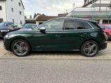 Audi SQ5 bei Sportwagen.expert - Abbildung (7 / 14)