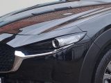 Mazda CX-30 bei Sportwagen.expert - Abbildung (5 / 12)