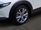 Mazda CX-30 bei Sportwagen.expert - Abbildung (4 / 13)