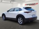 Mazda CX-30 bei Sportwagen.expert - Abbildung (12 / 13)