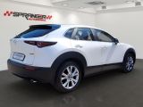 Mazda CX-30 bei Sportwagen.expert - Abbildung (11 / 13)