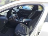 Mazda CX-30 bei Sportwagen.expert - Abbildung (5 / 13)