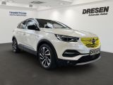 Opel Grandland X bei Sportwagen.expert - Abbildung (2 / 15)