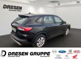 Ford Kuga bei Sportwagen.expert - Abbildung (4 / 14)