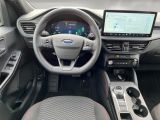 Ford Kuga bei Sportwagen.expert - Abbildung (11 / 15) Ford Kuga bei Sportwagen.expert - Abbildung (11 / 15)