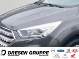 Ford Kuga bei Sportwagen.expert - Abbildung (6 / 15)