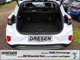 Ford Puma bei Sportwagen.expert - Abbildung (6 / 15)