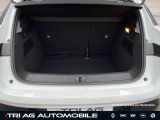 Renault Megane bei Sportwagen.expert - Abbildung (12 / 15)
