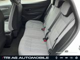 Renault Megane bei Sportwagen.expert - Abbildung (10 / 15)
