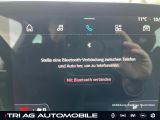 Renault Megane bei Sportwagen.expert - Abbildung (15 / 15)