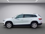 Skoda Kodiaq bei Sportwagen.expert - Abbildung (2 / 15)