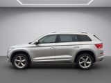 Skoda Kodiaq bei Sportwagen.expert - Abbildung (2 / 15)