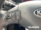 Kia Sportage bei Sportwagen.expert - Abbildung (15 / 15)