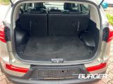 Kia Sportage bei Sportwagen.expert - Abbildung (6 / 15)