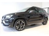 Cupra Ateca bei Sportwagen.expert - Abbildung (5 / 15)