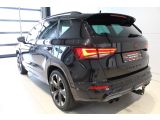 Cupra Ateca bei Sportwagen.expert - Abbildung (2 / 15)