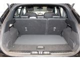 Ford Puma bei Sportwagen.expert - Abbildung (15 / 15)