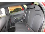 Seat Ibiza bei Sportwagen.expert - Abbildung (15 / 15)