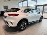 Kia XCeed bei Sportwagen.expert - Abbildung (6 / 15)