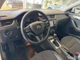 Skoda Octavia bei Sportwagen.expert - Abbildung (14 / 15)