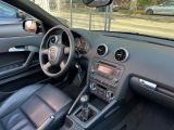 Audi A3 Cabriolet bei Sportwagen.expert - Abbildung (12 / 15)