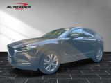 Mazda CX-30 bei Sportwagen.expert - Abbildung (2 / 15)