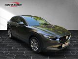 Mazda CX-30 bei Sportwagen.expert - Abbildung (5 / 15)