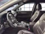 Mazda CX 5 bei Sportwagen.expert - Abbildung (12 / 15)