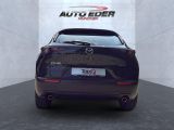 Mazda CX-30 bei Sportwagen.expert - Abbildung (9 / 15)