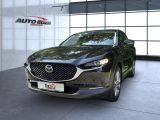 Mazda CX-30 bei Sportwagen.expert - Abbildung (2 / 15)