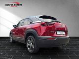Mazda MX-30 bei Sportwagen.expert - Abbildung (3 / 15)