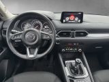 Mazda CX 5 bei Sportwagen.expert - Abbildung (13 / 15)