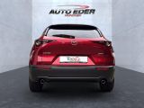 Mazda CX-30 bei Sportwagen.expert - Abbildung (9 / 15)