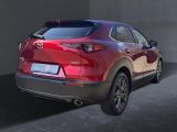 Mazda CX-30 bei Sportwagen.expert - Abbildung (4 / 15)