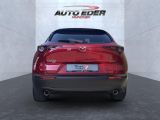 Mazda CX-30 bei Sportwagen.expert - Abbildung (9 / 15)