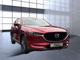 Mazda CX 5 bei Sportwagen.expert - Abbildung (5 / 15)