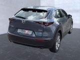 Mazda CX-30 bei Sportwagen.expert - Abbildung (4 / 15)