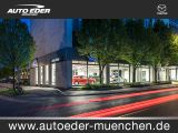 Mazda CX-60 bei Sportwagen.expert - Abbildung (9 / 9)