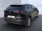 Mazda CX-30 bei Sportwagen.expert - Abbildung (4 / 15)