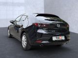 Mazda 3 bei Sportwagen.expert - Abbildung (3 / 15)