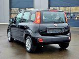 Fiat Panda bei Sportwagen.expert - Abbildung (2 / 15)
